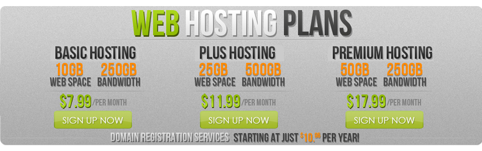 Web Hosting and Domain Registration services